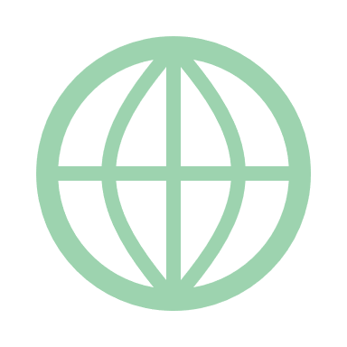 icona web